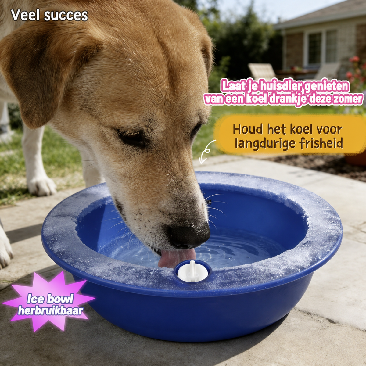 KoelPaws™ Ice Bowl | Reusable Cooling Water Bowl for Dogs