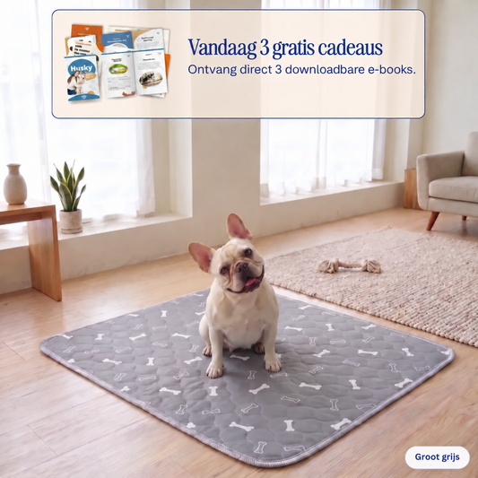 NovaPaw™ – Washable Training Pad with Attractant Scent
