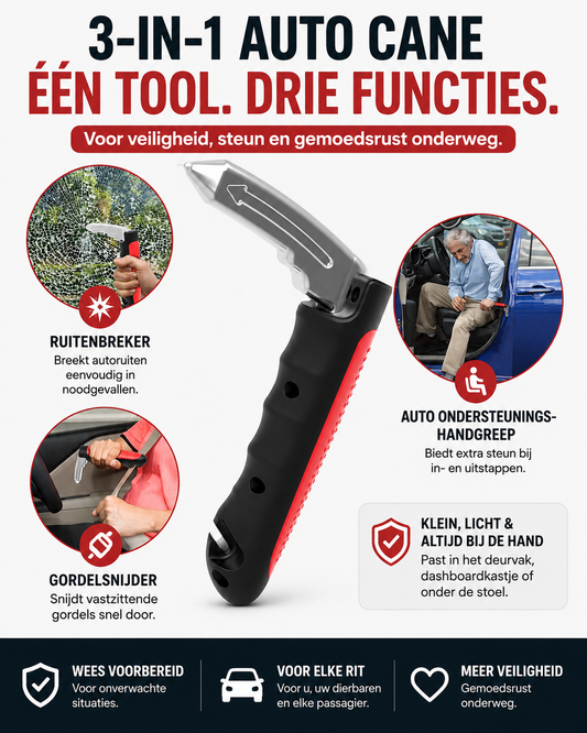 Auto Cane 3-in-1 — Getting in, getting out, traveling safely